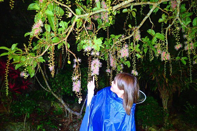 Okinawa Ishigaki Sagaribana Watching Tour June to August only - The Sum Up