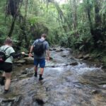 Okinawa: Jungle Trails & Waterfalls Native-English Private - Authenticity and Reviews: What Travelers Say