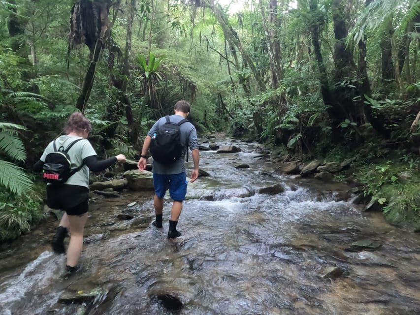 Okinawa: Jungle Trails & Waterfalls Native-English Private - Authenticity and Reviews: What Travelers Say