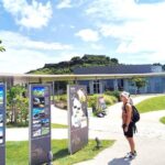 Okinawa: Katsuren Castle Ruins and Museum Guided Tour - More Details to Help You Decide