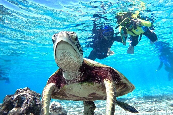 Okinawa Miyako Beach SUP or Canoe and sea turtle Snorkeling - FAQs
