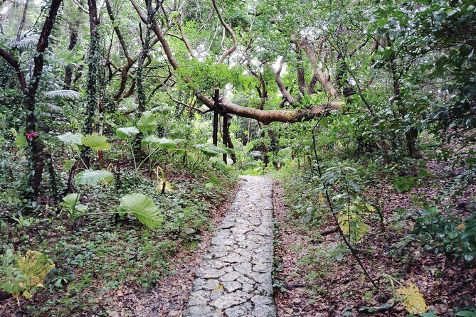 Okinawa: Sacred Sefa Utaki Walk into Ryukyus Spiritual - Who Should Book This Tour?