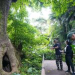 Okinawa Shuri Castle Peace Walking Tour - Exploring the Itinerary in Detail