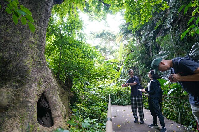 Okinawa Shuri Castle Peace Walking Tour - Exploring the Itinerary in Detail
