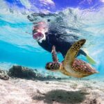 Okinawa Snorkeling Tour Experience - Why This Tour is Worth It