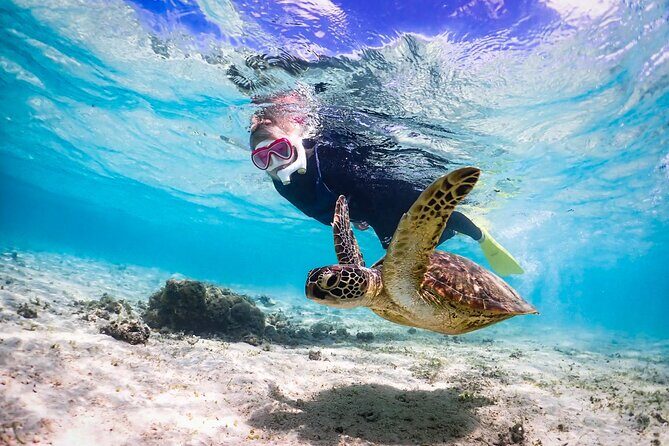 Okinawa Snorkeling Tour Experience - Why This Tour is Worth It