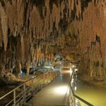 Okinawa World Admission Ticket | Japan - The Value Proposition