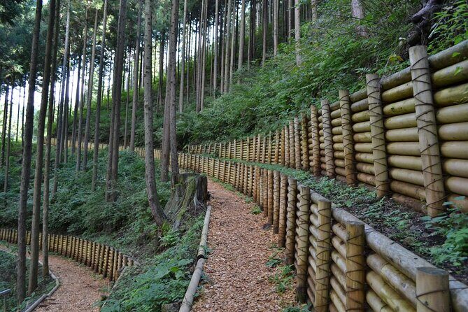 Okutama Forest Therapy Shinrin-yoku Tour with Lunch Options - The Itinerary: A Gentle Journey into Nature