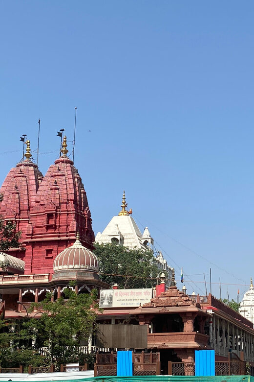 Old Delhi: Cultural & Historical Local Tour Experience - Who Is This Tour Best For?