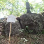 Old Nakasendo trekking from Karuizawa-Beyond Sugahi Pass to Sakamoto Hotel- - The Journey’s Practicalities and Value