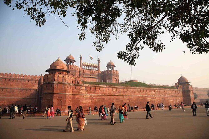 Old & New Delhi Private Tour - Half or Full Day (TOP RATED) - Who Is This Tour Best For?