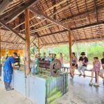 Old Phuket Farm Ticket - Countryside Local Life Culture - Who Should Book This Tour?