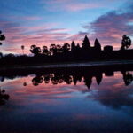 One Day Angkor Wat Trip with Sunrise - The Experience in Detail: What to Expect from Start to Finish