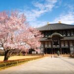 One Day Customized Self-Guided Tour in Nara - Detailed Breakdown of the Itinerary