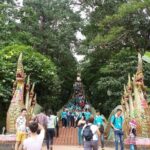 One day Doi Suthep Temple, Palad Temple & Sticky waterfall - Who Will Love This Tour?