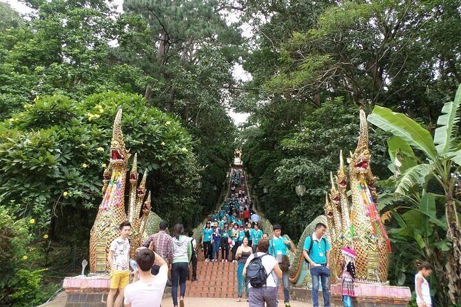 One day Doi Suthep Temple, Palad Temple & Sticky waterfall - Who Will Love This Tour?