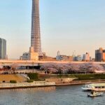 One day in Tokyo with Shrines, Asakusa and Hidden Local - Exploring the Day: What to Expect from This Tour