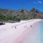 One Day Komodo Tour & Snorkeling by Speedboat - Who Should Consider This Tour?