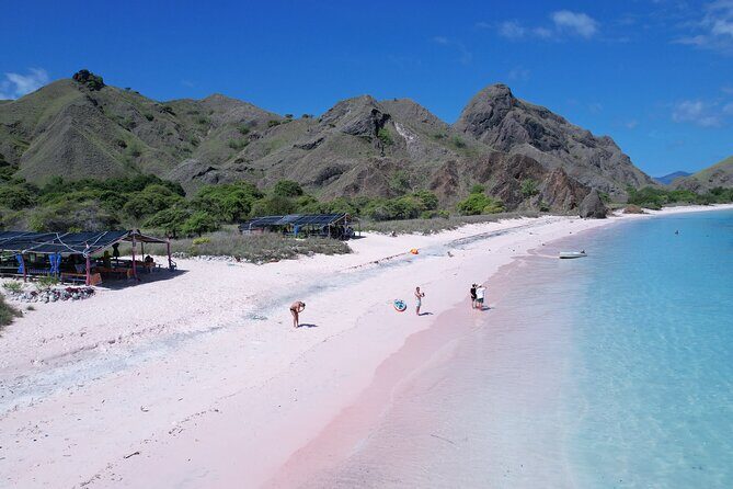 One Day Komodo Tour & Snorkeling by Speedboat - Who Should Consider This Tour?