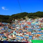 One Day Private Busan Tour with Local Tour Guide - An In-Depth Look at the Busan Private Tour