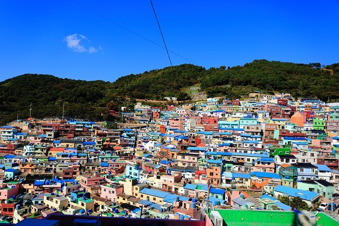 One Day Private Busan Tour with Local Tour Guide - An In-Depth Look at the Busan Private Tour