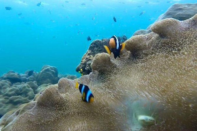 One Day Tour to Koh Rok & Koh Haa By Tin Adventure Sea Tour from Koh Lanta - FAQ