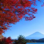 One Day Tour to Oishi Park and Fruit Picking in Mt. Fuji Tokyo - The Itinerary in Detail: What to Expect