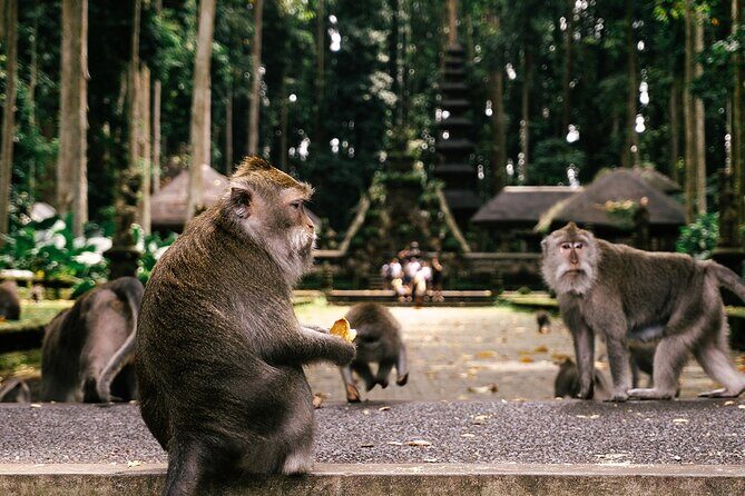 One Day Tour Ubud With Private Guide - A Closer Look at the Itinerary