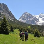 One day Trek in Osh to Sacred Sites and Panoramic Views - Practical Details and Value