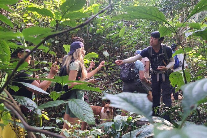 One Day Trekking Chiang Rai Jungle Adventure and Bamboo Cooking - Authenticity and Unique Experiences