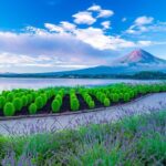 One Way Bus from Matsumoto to Kawaguchiko or Tokyo - What We Love About This Service