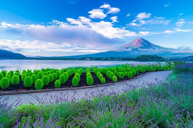 One Way Bus from Matsumoto to Kawaguchiko or Tokyo - What We Love About This Service