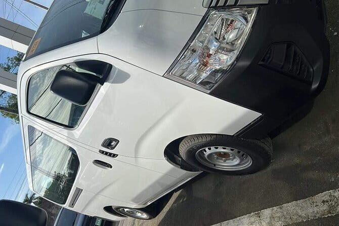 One-Way Private Van Transfer Bohol-Panglao Area - Who Might Consider Other Options?