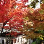 Onomichi and Kosanji 1 Day Private Tour - An In-Depth Look at the Onomichi and Kosanji Tour