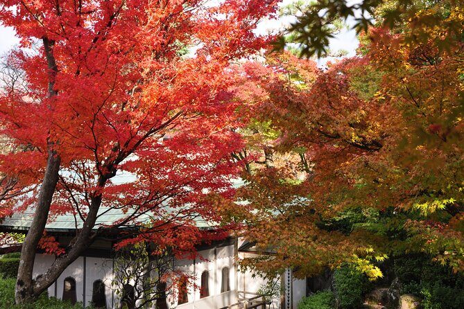 Onomichi and Kosanji 1 Day Private Tour - An In-Depth Look at the Onomichi and Kosanji Tour