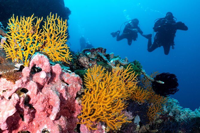 Open Water Course in Pemuteran - Get Certified in Bali - Final Thoughts