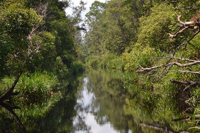 Orangutan Tanjung Puting Day Trip - Final Thoughts