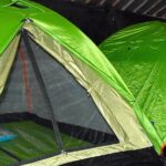 ORANGUTAN TREK (2D/1N) by EcoTravel Bukit Lawang - Who Should Book This Tour?