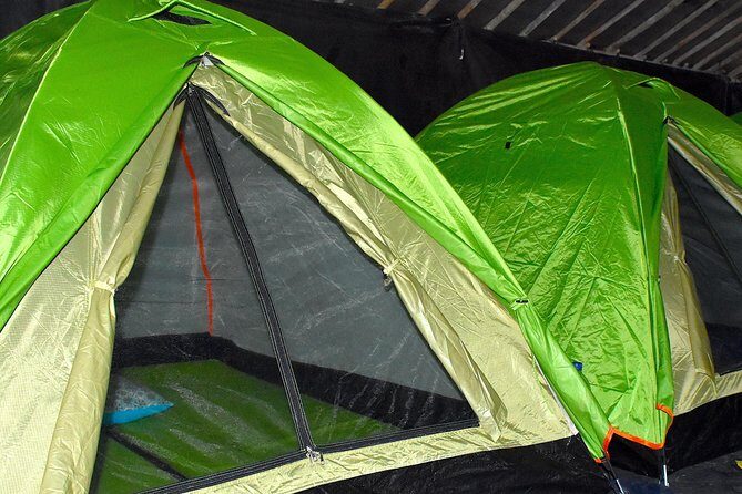 ORANGUTAN TREK (2D/1N) by EcoTravel Bukit Lawang - Who Should Book This Tour?