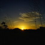 Organic Cooking Class Sigiriya TASTY TASKS - Why This Experience Is Worth It