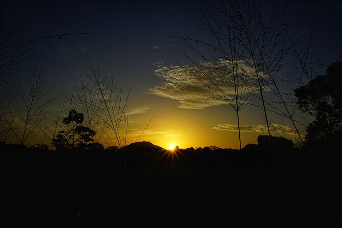 Organic Cooking Class Sigiriya TASTY TASKS