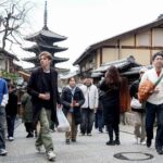 Osaka and Kyoto Private Car City Tour - Pricing and Value