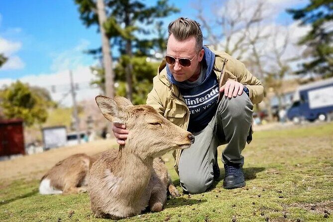 Osaka And Nara Private Car City Tour