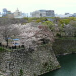 Osaka Castle 3 Hours Historical Walking Tour - Final Thoughts