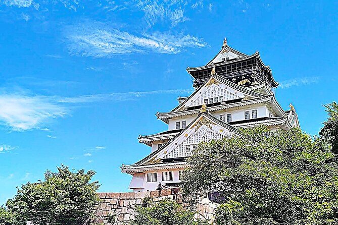 Osaka: Castle and Stone Walls Guided Walking Tour - Who Would Enjoy This Tour Most?