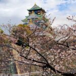 Osaka Castle Hidden Gems Walking Tour + Multilingual Audio Guide - Frequently Asked Questions