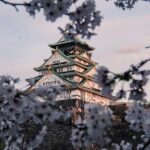 Osaka City Cherry Blossom Private Sightseeing Tour - Practical Considerations