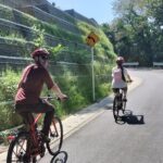 Osaka Half-day E-bike Tour: Minoh Falls, Katsuoji Temple w Lunch - Practical Tips & Considerations