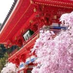 Osaka Katsuo-ji Temple Natural Attraction Ticket - Final Thoughts: Who Will Enjoy This Tour?