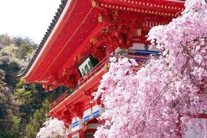 Osaka Katsuo-ji Temple Natural Attraction Ticket - Final Thoughts: Who Will Enjoy This Tour?